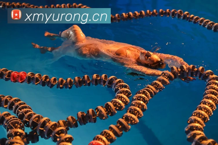 kaiyun官方网站入口平台生态图