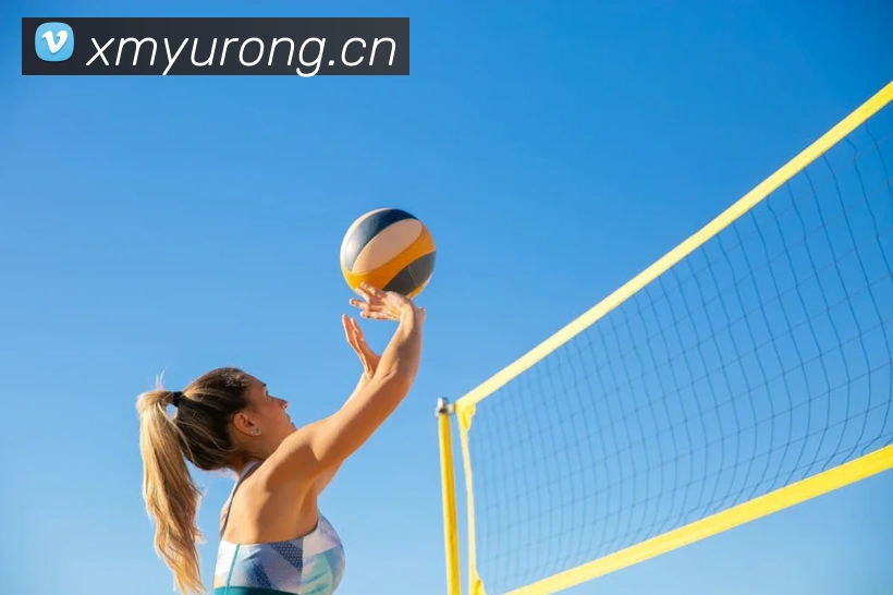 kaiyun官方网站入口APP 封面图